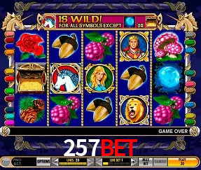 Descubra o Mundo do Cassino Online com 257bet